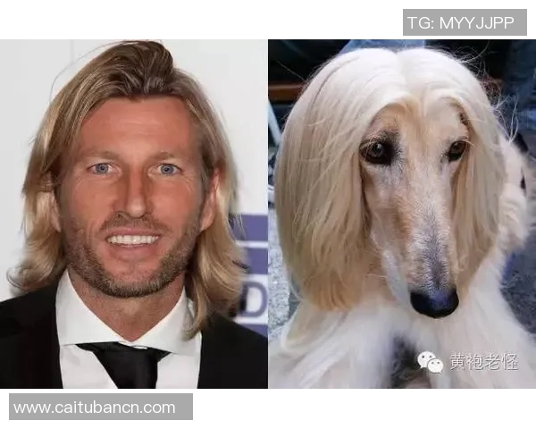 你是否也有撞脸足球明星的可能性快来测试一下吧