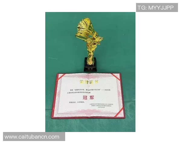 上海羽毛球队强势领跑锦标赛积分榜积累60分展现冠军实力 上海羽毛球队强势领跑锦标赛积分榜积累60分展现冠军实力