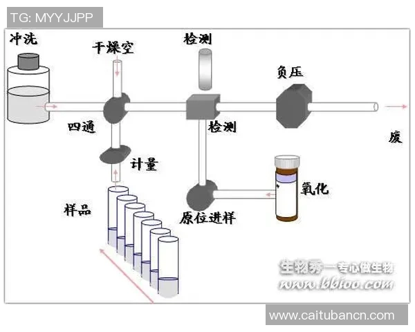 上海足球队选拔赛技术分析与表现评估全面解读 上海足球队选拔赛技术分析与表现评估全面解读