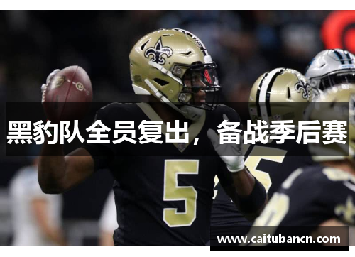 黑豹队全员复出，备战季后赛